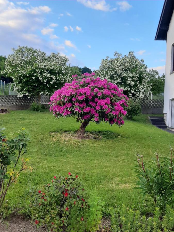 Ferienwohnung Fuelbier Oberzissen Zewnętrze zdjęcie